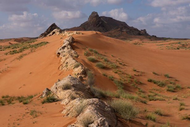 پارک ملی